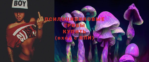 прущий лед Верея