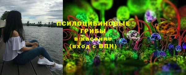 ГАЛЛЮЦИНОГЕННЫЕ ГРИБЫ Верхнеуральск